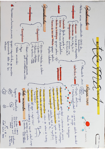 Esquema-T1-Bioelementos.pdf