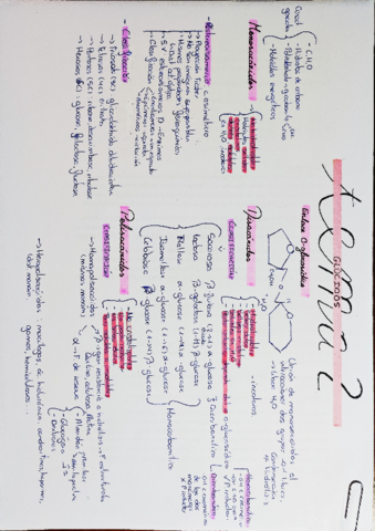 Esquema-T2-Glucidos.pdf