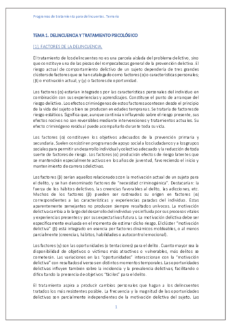 PROGRAMA-DE-TRATAMIENTO-CON-DELINCUENTES-copia.pdf