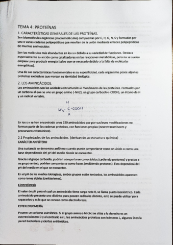 Tema-4-Proteinas.pdf