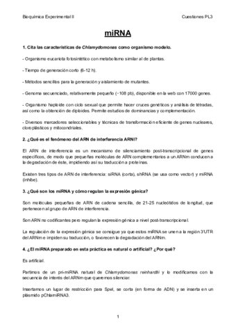 Preguntas-resueltas-PL3-4.pdf