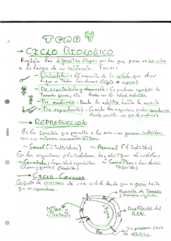 TEMA-4-La-perpetuacion-de-la-vida.pdf