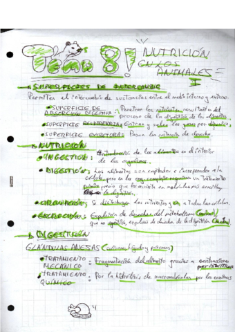 TEMA-8-La-nutricion-en-los-animales-1.pdf