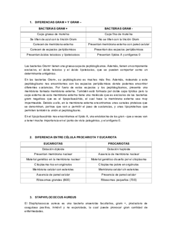 PREGUNTAS-FRECUENTES-MICRO.pdf