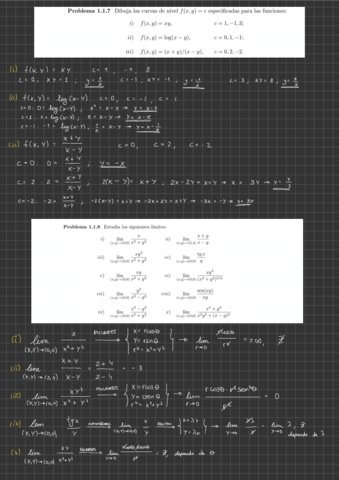 Ejercicios-Resueltos-Calculo-II.pdf