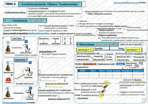 CarolinaLifeAP-Esquema-TEMA-2-Muestra-.pdf