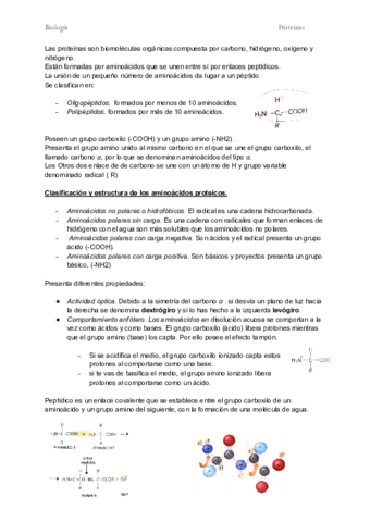 Proteinas-.pdf