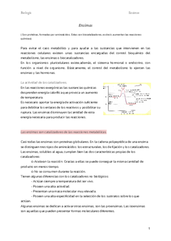 Enzimas.pdf