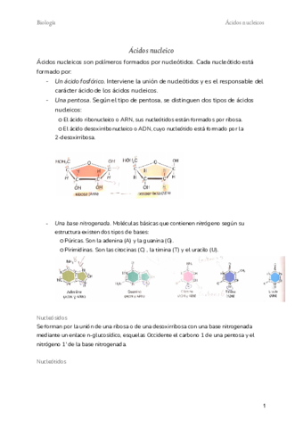 Acidos-nucleicos.pdf