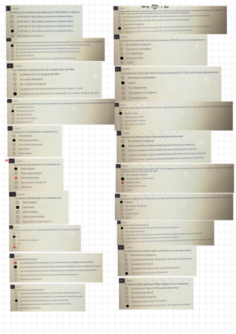 Cuestionario-Laboratorio-Genetica-.pdf