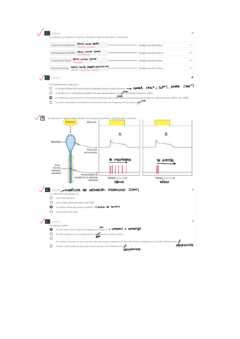 PARCIALES-FISIOLOGIA.pdf