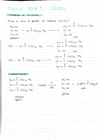 Repaso-teoria.pdf