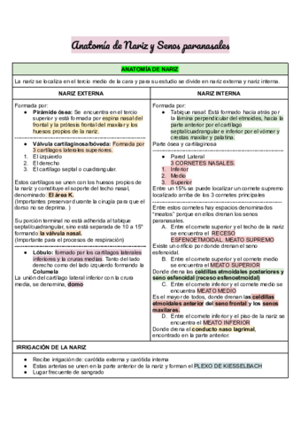 Apuntes-de-Nariz-y-patologias.pdf