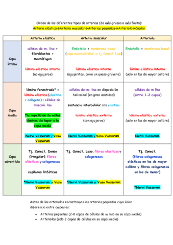 Resumen arterias
