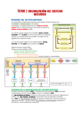 FISIOLOGIA-1-PARCIAL.pdf