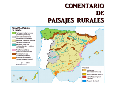Paisajes-para-comentar-con-TABLA.pdf