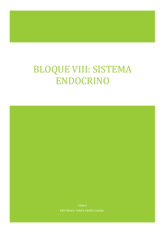 BLOQUE-VIII.pdf