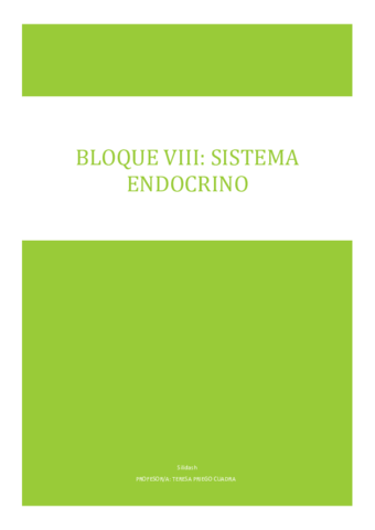 BLOQUE-VIII.pdf