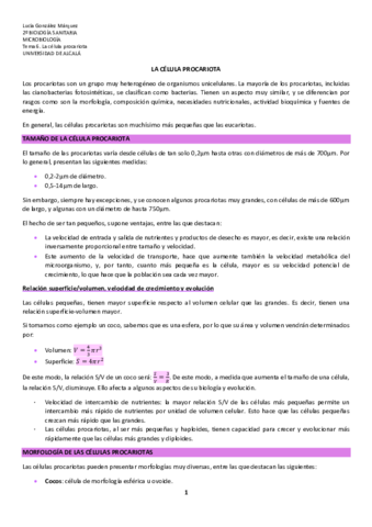 Tema-6-La-celula-procariota.pdf