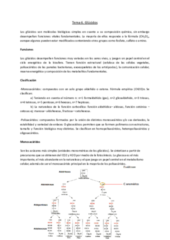 Bioquimica-2parcial.pdf