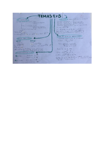 Temas-4-y-5-Funciones.pdf