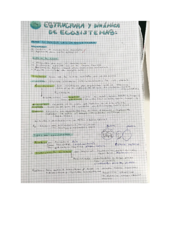 Tema-4-Estructura-y-dinamica-de-ecosistemas.pdf