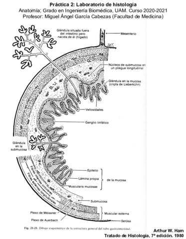 Examen-Practico.pdf