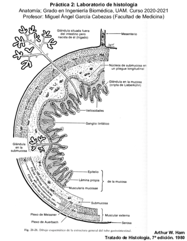 Examen-Practico-en-blanco.pdf