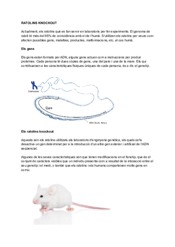 RATOLINS-KNOCKOUT.pdf