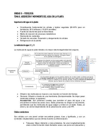 UNIDAD-II-FISIOLOGIA-T.pdf