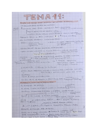 Guerra-fria-y-descolonizacion.pdf