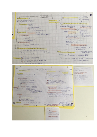 El-siglo-XVIII-La-crisis-del-antiguo-regimen.pdf