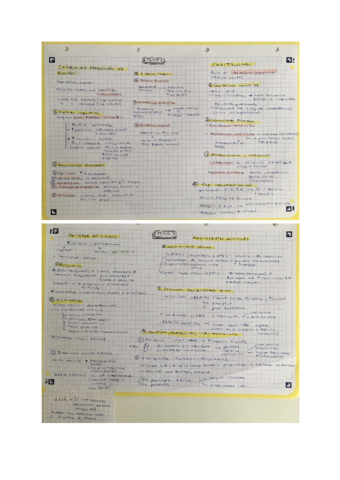 El-origen-de-la-industrializacion.pdf