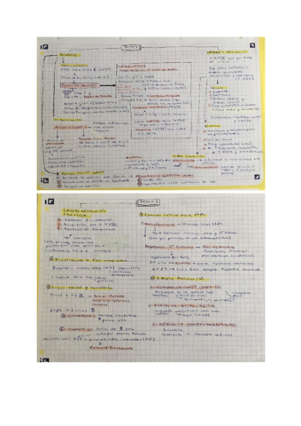 La-epoca-de-las-revoluciones-liberales-con-arte.pdf