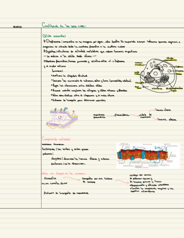 Citologia-E-Histologia-1.pdf