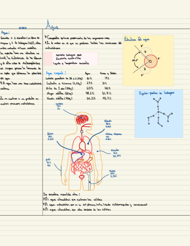 Bases-De-Bioquimica-1.pdf