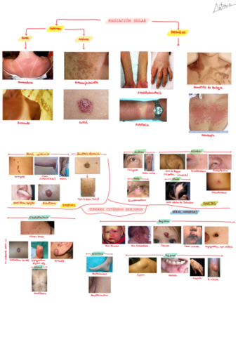 Tercer-parcial-Dermatologia.pdf