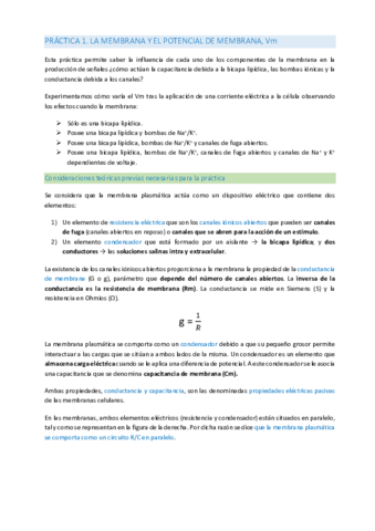 PRACTICA-1.pdf