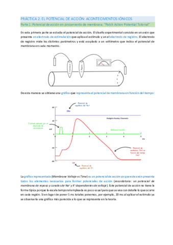 PRACTICA-2.pdf