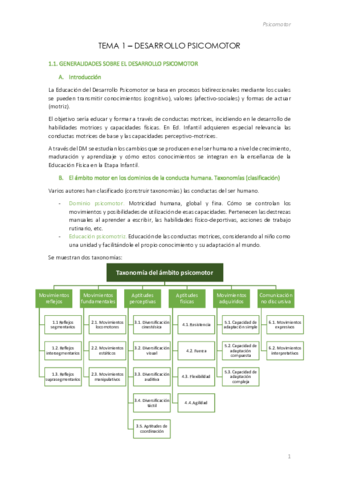 Psicomotor-Tema-1.pdf