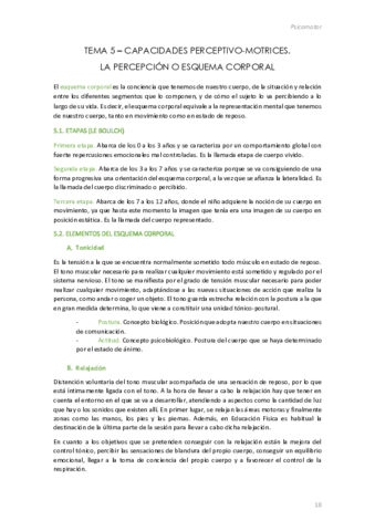 Psicomotor-Tema-5.pdf