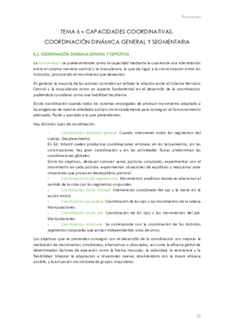 Psicomotor-Tema-6.pdf