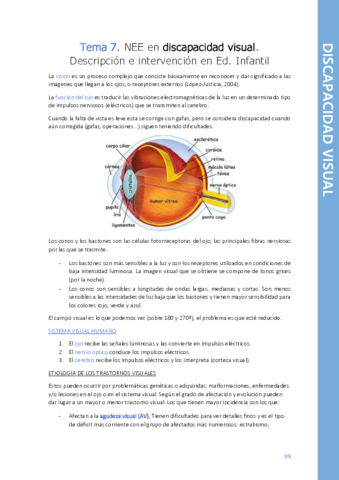 Tema-7-Discapacidad-visual.pdf