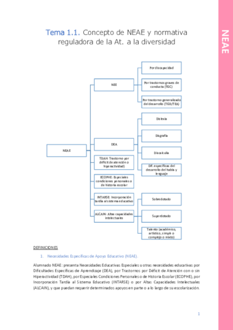 Tema-1-NEAE.pdf