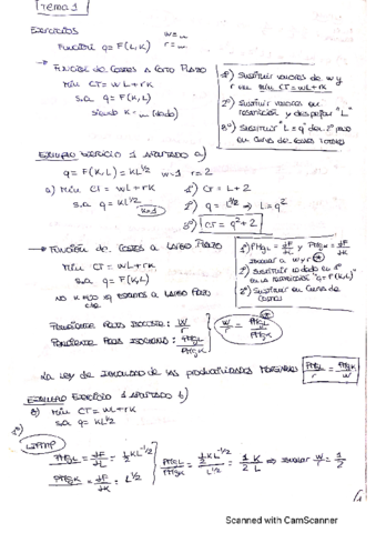 Tema-1-y-2-Micro-II.pdf