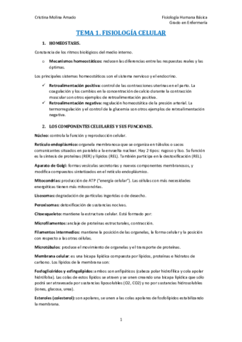 TEMA-1.pdf