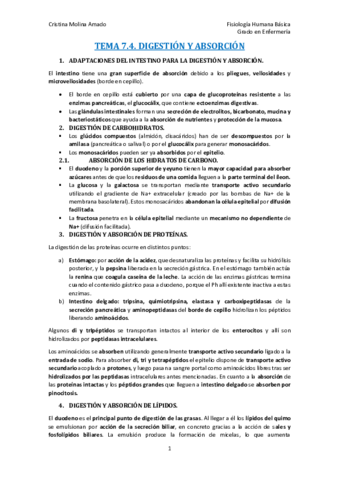 TEMA-7.pdf