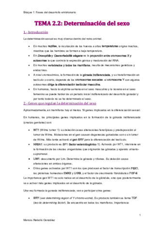 TEMA-2.pdf