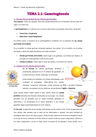 TEMA-2.pdf