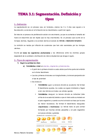 TEMA-3.pdf